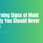 Warning Signs of Mold Toxicity