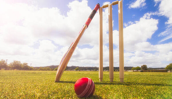 Wheon Cricket