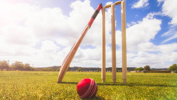 Wheon Cricket